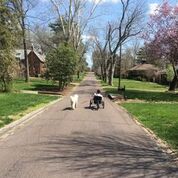 Brad using his trike and walking his dog