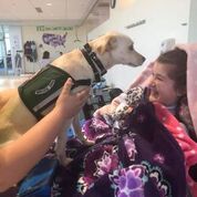 Margaret with a service dog